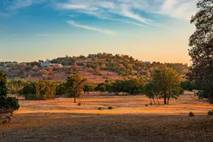 34 Rusty Spur Dr, Fredericksburg, TX 78624 - Photo 46