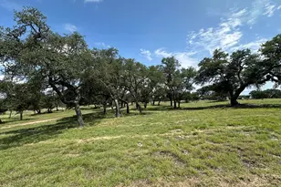 171 Flowering Sage Ln, Fredericksburg, TX 78624 - Photo 44