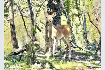204 Aqua Vista Dr, Kerrville, TX 78028 - Photo 14