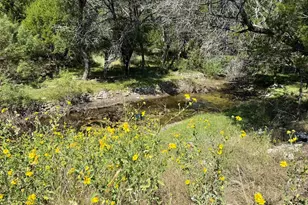 204 Aqua Vista Dr, Kerrville, TX 78028 - Photo 2