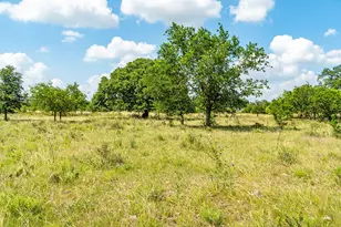 21688 Fm 2093, Harper, TX 78631 - Photo 1