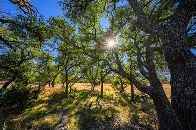 1357 Legacy Oaks Dr, Harper, TX 78631 - Photo 12
