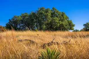 1357 Legacy Oaks Dr, Harper, TX 78631 - Photo 1