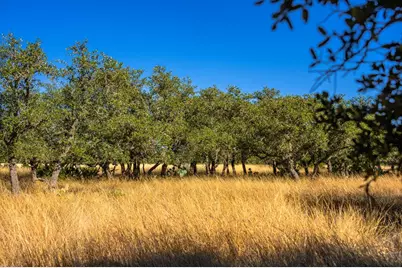 1357 Legacy Oaks Dr, Harper, TX 78631 - Photo 14