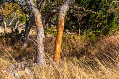 1357 Legacy Oaks Dr, Harper, TX 78631 - Photo 16