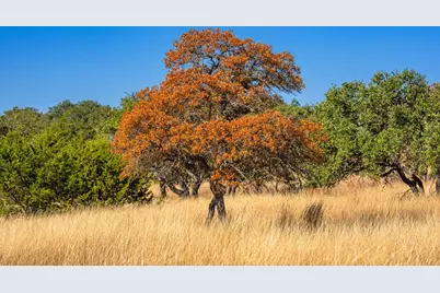 1357 Legacy Oaks Dr, Harper, TX 78631 - Photo 4