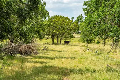 21690 Fm 2093, Harper, TX 78631 - Photo 8
