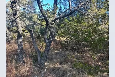1338 Sultemeier-Moellering Rd, Fredericksburg, TX 78624 - Photo 8