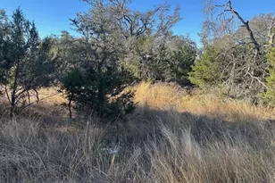 1338 Sultemeier-Moellering Rd, Fredericksburg, TX 78624 - Photo 10