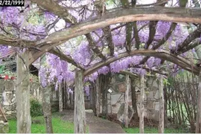 108 Oak Rd, Fredericksburg, TX 78624 - Photo 8