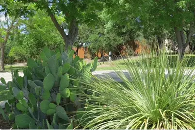 169 Royal Oaks Hill, Fredericksburg, TX 78624 - Photo 14