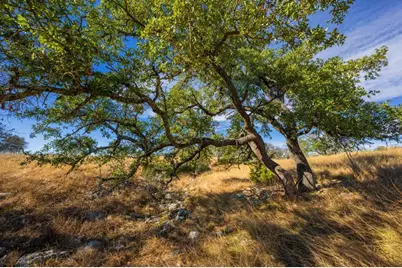 19415 Fm 2093, Harper, TX 78624 - Photo 12