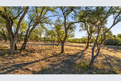 1422-12 Ranch Rd 2766, Johnson City, TX 78636 - Photo 2