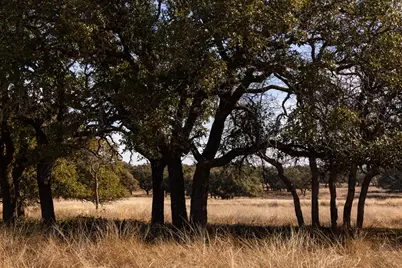 Lot 15 Legacy Oaks Dr, Harper, TX 78631 - Photo 14