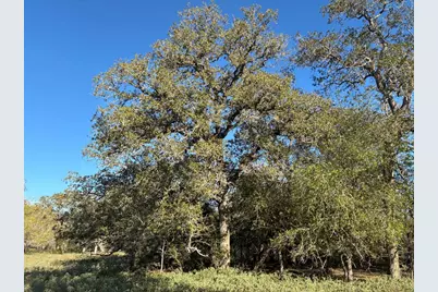 483 Batey Rd, Seguin, TX 78155 - Photo 6