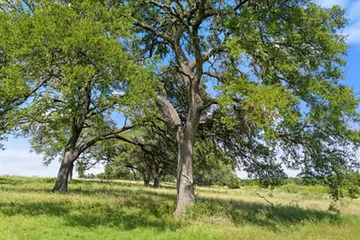 444 &amp; 742 Klein Rd, Stonewall, TX 78671 - Photo 52