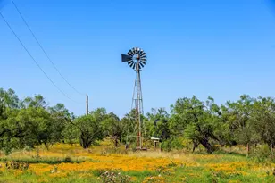 3610 Welgehausen Rd, Fredericksburg, TX 78624 - Photo 30