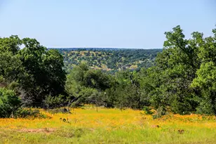 3610 Welgehausen Rd, Fredericksburg, TX 78624 - Photo 40