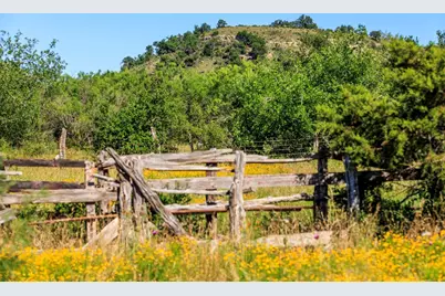 3610 Welgehausen Rd, Fredericksburg, TX 78624 - Photo 36