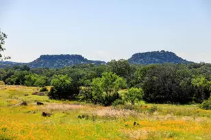 3610 Welgehausen Rd, Fredericksburg, TX 78624 - Photo 42