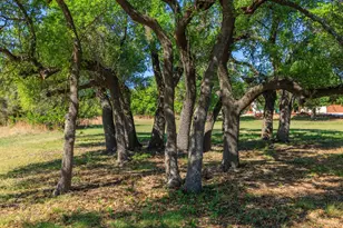1783 Axis Cir, Fredericksburg, TX 78624 - Photo 34