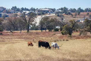 1783 Axis Cir, Fredericksburg, TX 78624 - Photo 44