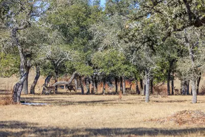 1783 Axis Circle, Fredericksburg, TX 78624 - Photo 34