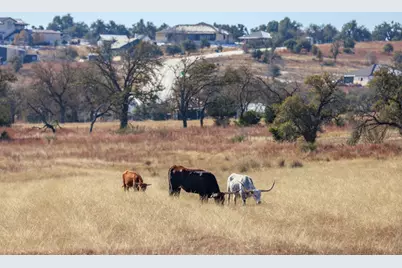 1783 Axis Circle, Fredericksburg, TX 78624 - Photo 42
