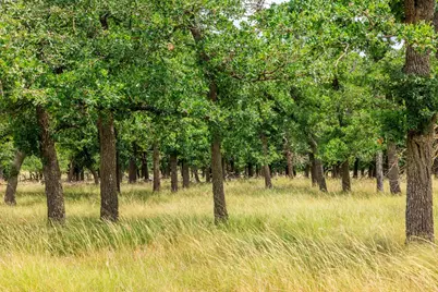 11453 N US Hwy 87, Fredericksburg, TX 78624 - Photo 44