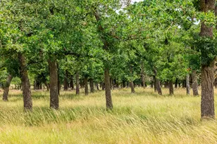 11453 N US Hwy 87, Fredericksburg, TX 78624 - Photo 44