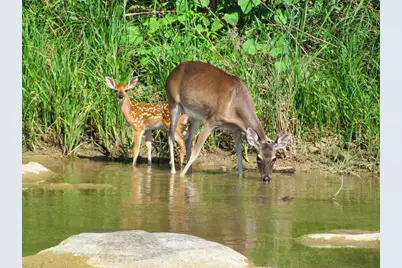 0 Settemeyer Rd, Mason, TX 76856 - Photo 10