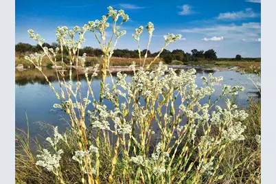 0 Settemeyer Rd, Mason, TX 76856 - Photo 30