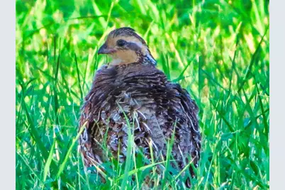 0 Settemeyer Rd, Mason, TX 76856 - Photo 42