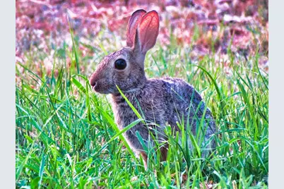 0 Settemeyer Rd, Mason, TX 76856 - Photo 24