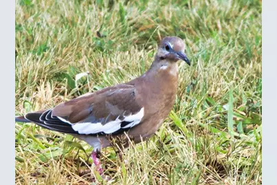 0 Settemeyer Rd, Mason, TX 76856 - Photo 52