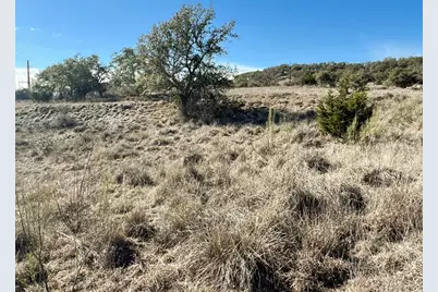 2985 Maenius Rd, Blanco, TX 78606 - Photo 8