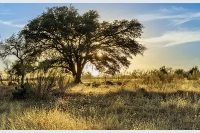 Tbd Klein-Ahrens Rd, Fredericksburg, TX 78624 - Photo 4