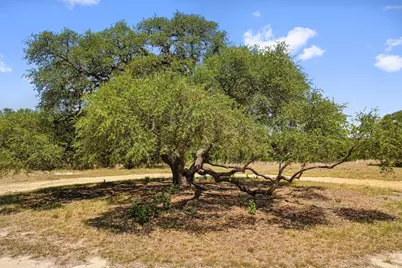 140 Lantana, Johnson City, TX 78636 - Photo 14