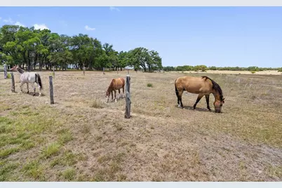140 Lantana, Johnson City, TX 78636 - Photo 24