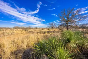 10001 N Hwy 87, Mason, TX 75856 - Photo 20