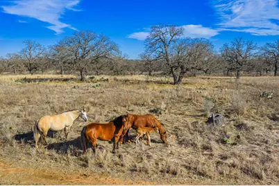10001 N Hwy 87, Mason, TX 75856 - Photo 8