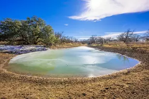 10001 N Hwy 87, Mason, TX 75856 - Photo 4