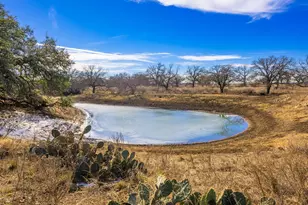 10001 N Hwy 87, Mason, TX 75856 - Photo 16