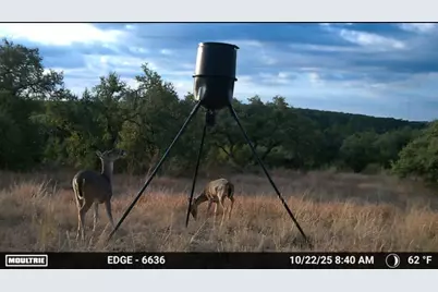 12516 Wire Rd, Leander, TX 78641 - Photo 6