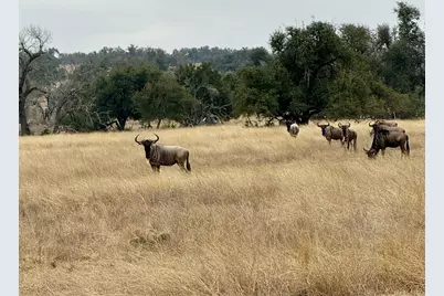 83 Stock Pond Dr, Harper, TX 78631 - Photo 2