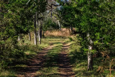 2975 Bear Creek Rd, Fredericksburg, TX 78624 - Photo 46