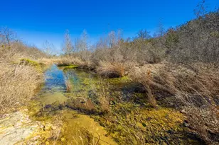 166 Dittmar Creek Rd, Harper, TX 78631 - Photo 8