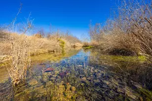 166 Dittmar Creek Rd, Harper, TX 78631 - Photo 4