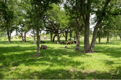 10220 E US Hwy 290, Fredericksburg, TX 78624 - Photo 24