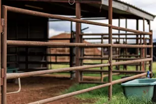 5686 Ranch Rd 1631, Fredericksburg, TX 78624 - Photo 50